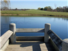 Dock on Pond
