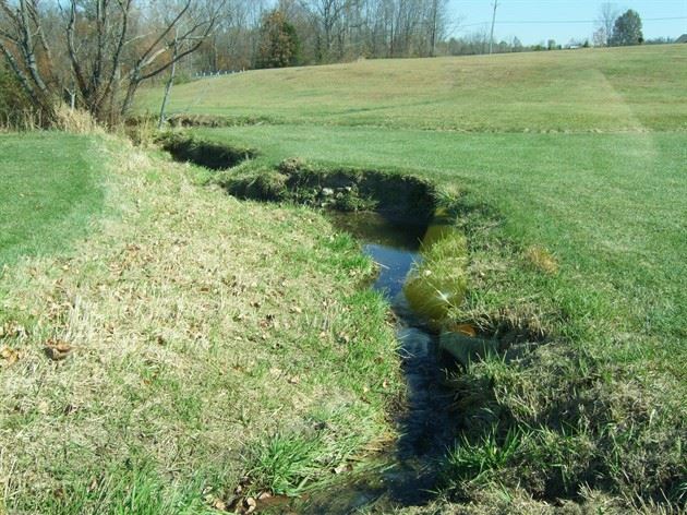 Creek Running Through Park