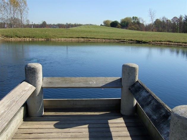 Dock on Pond