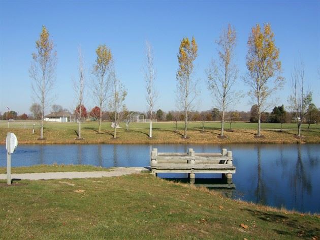 Pond and Walk Out Area