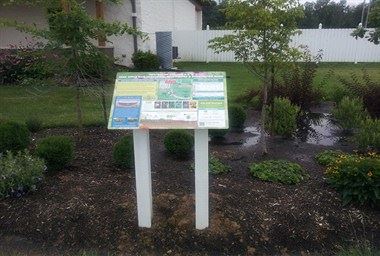 Rain Garden