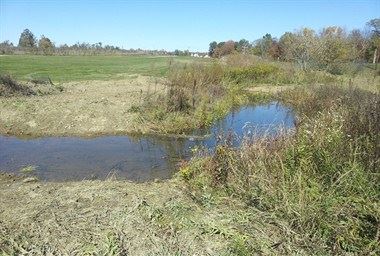 Wildcat Run Tributary