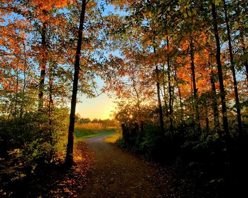 Changing of the Seasons at the end of the Day 19-Up resize