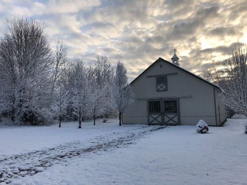 Keep It Real-Keep It Rural 19-Up resize