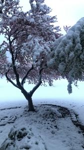 Springtime 19-Upresize