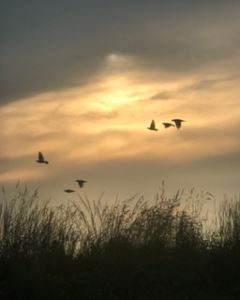 Before the storm 19-Uptresize